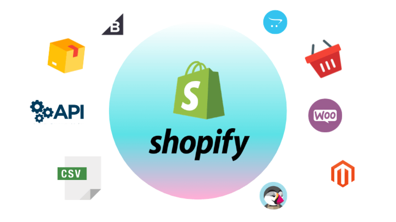 Shopify Website Development Cost in USA